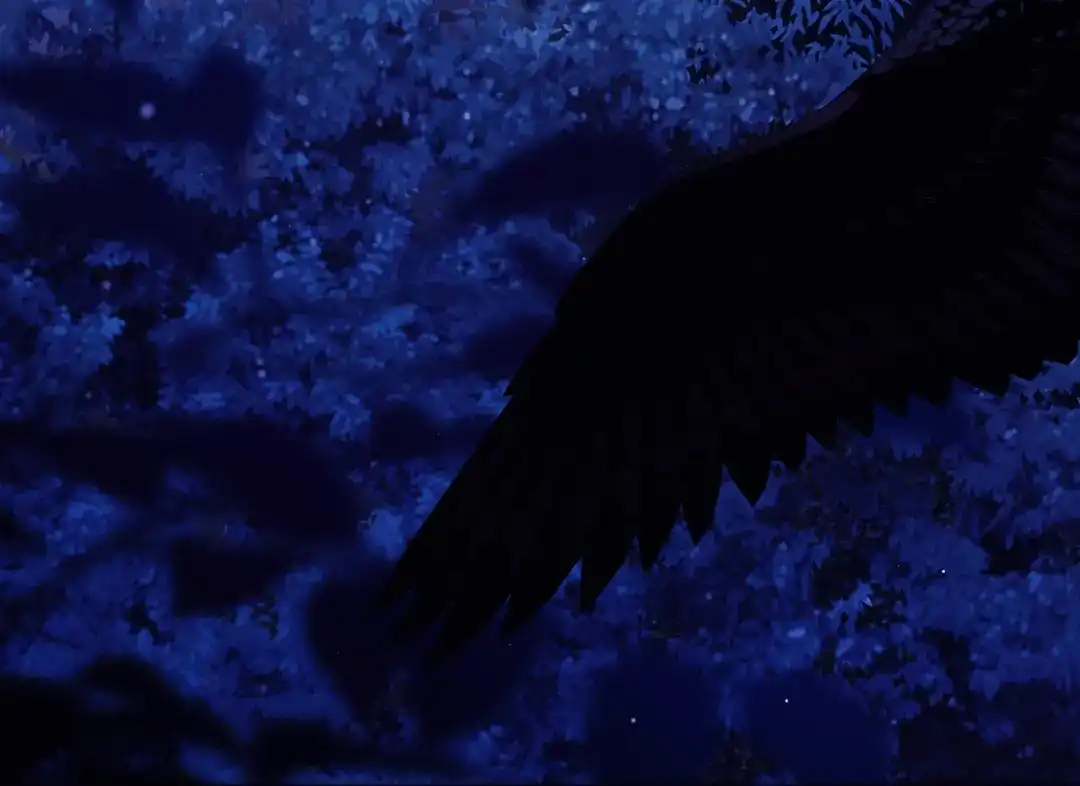 第146页