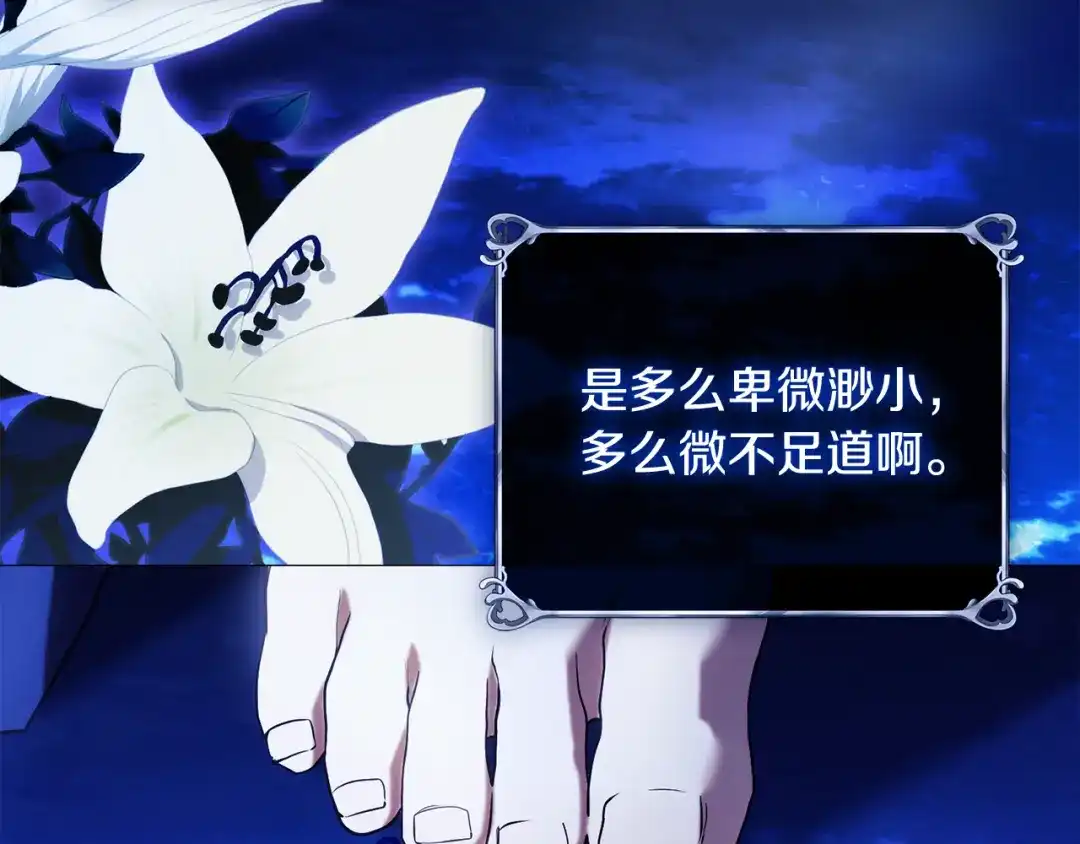 第207页