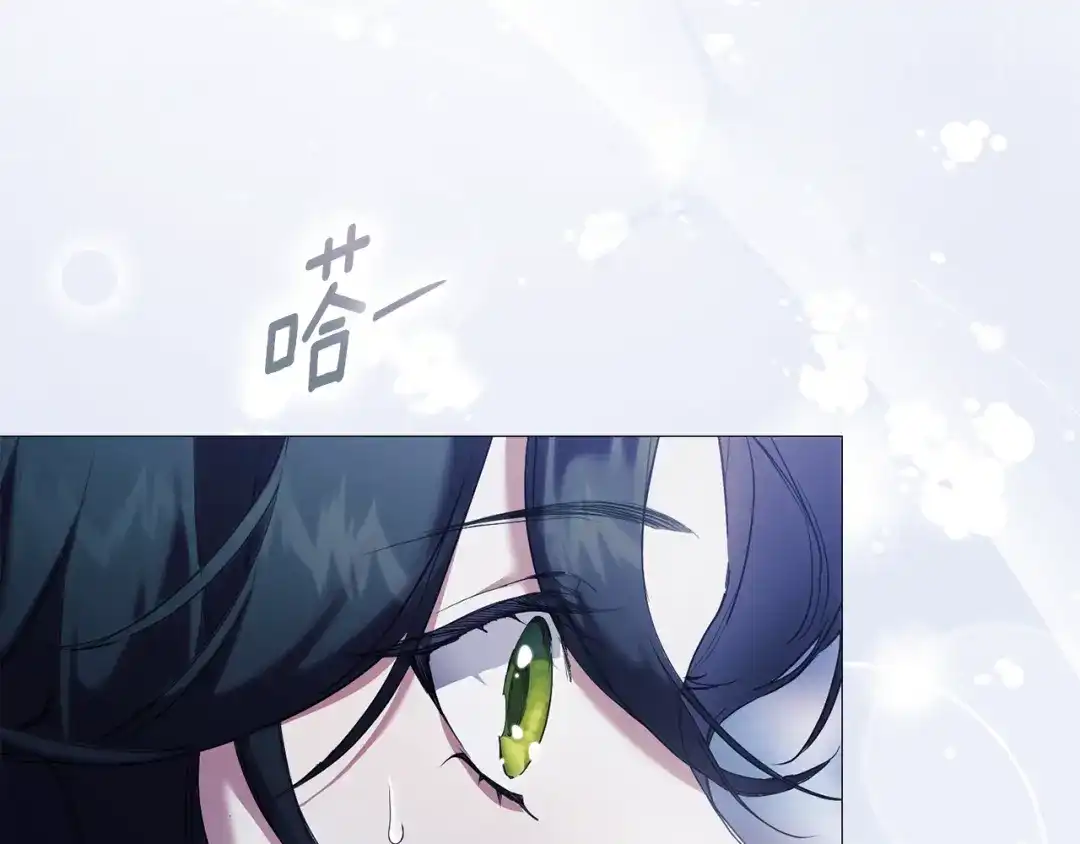 第223页