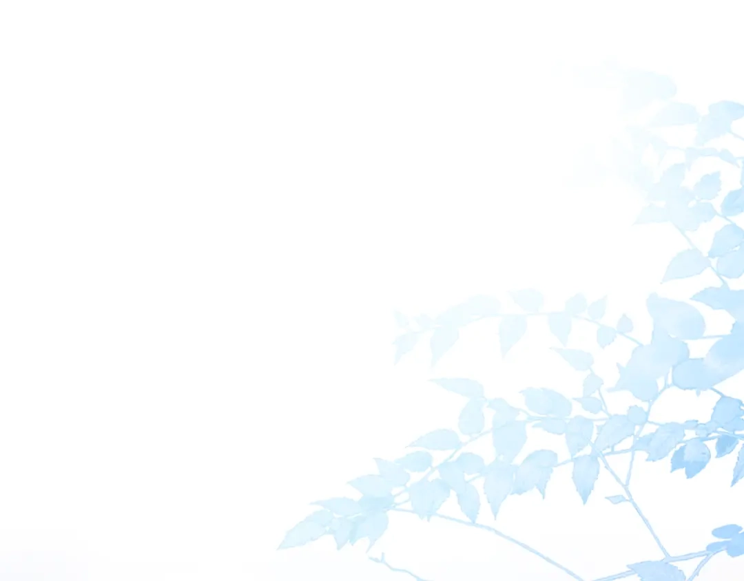 第215页