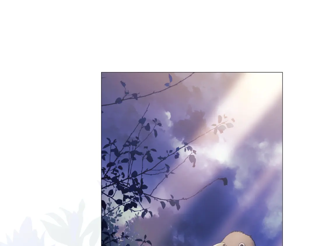 第221页