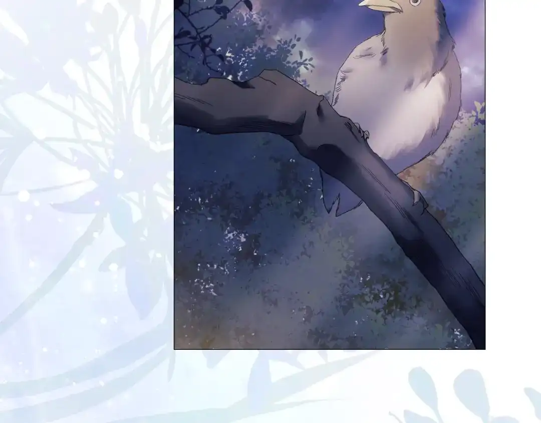 第222页