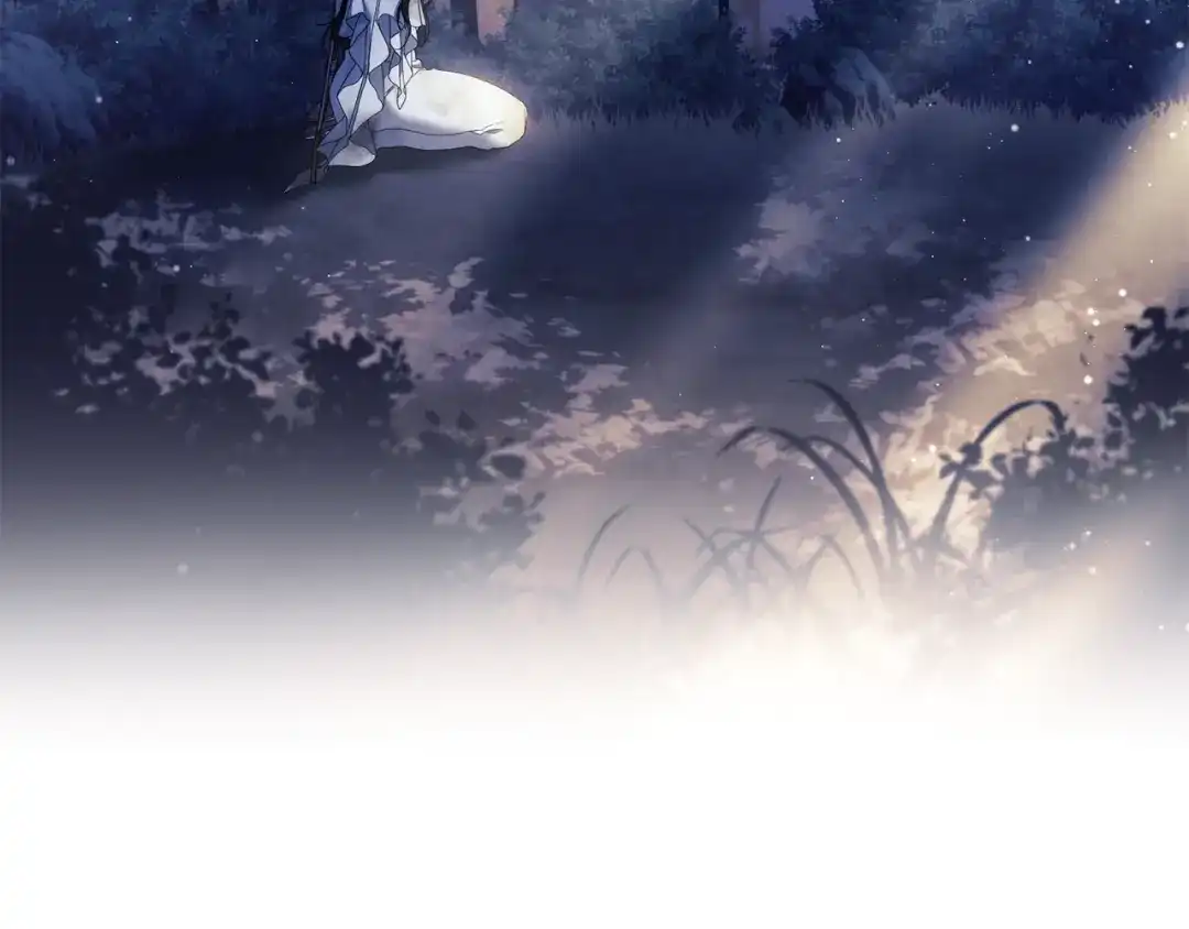 第233页