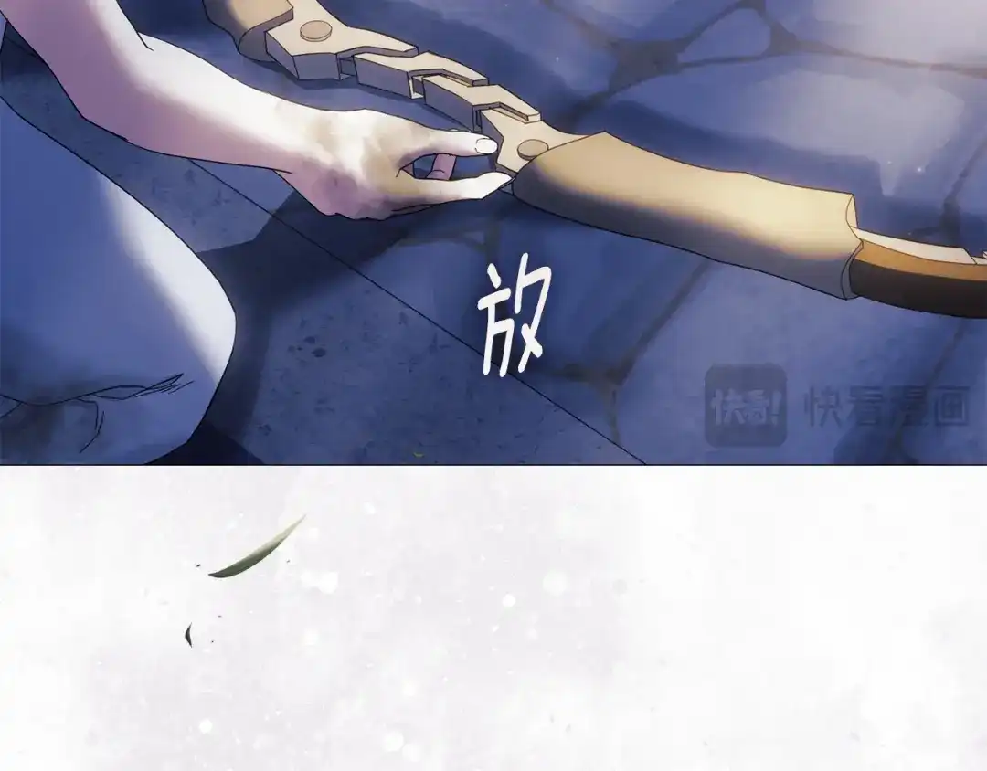 第242页