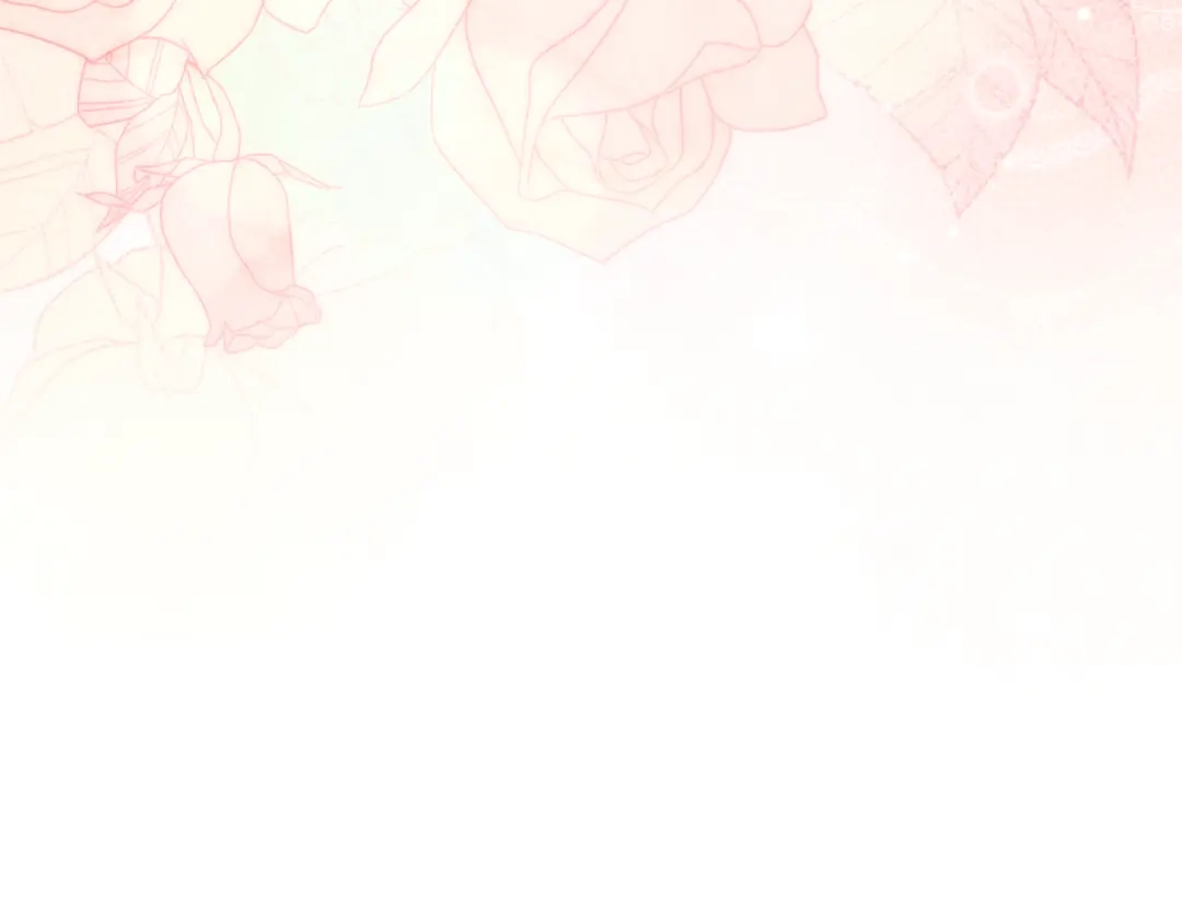 第256页