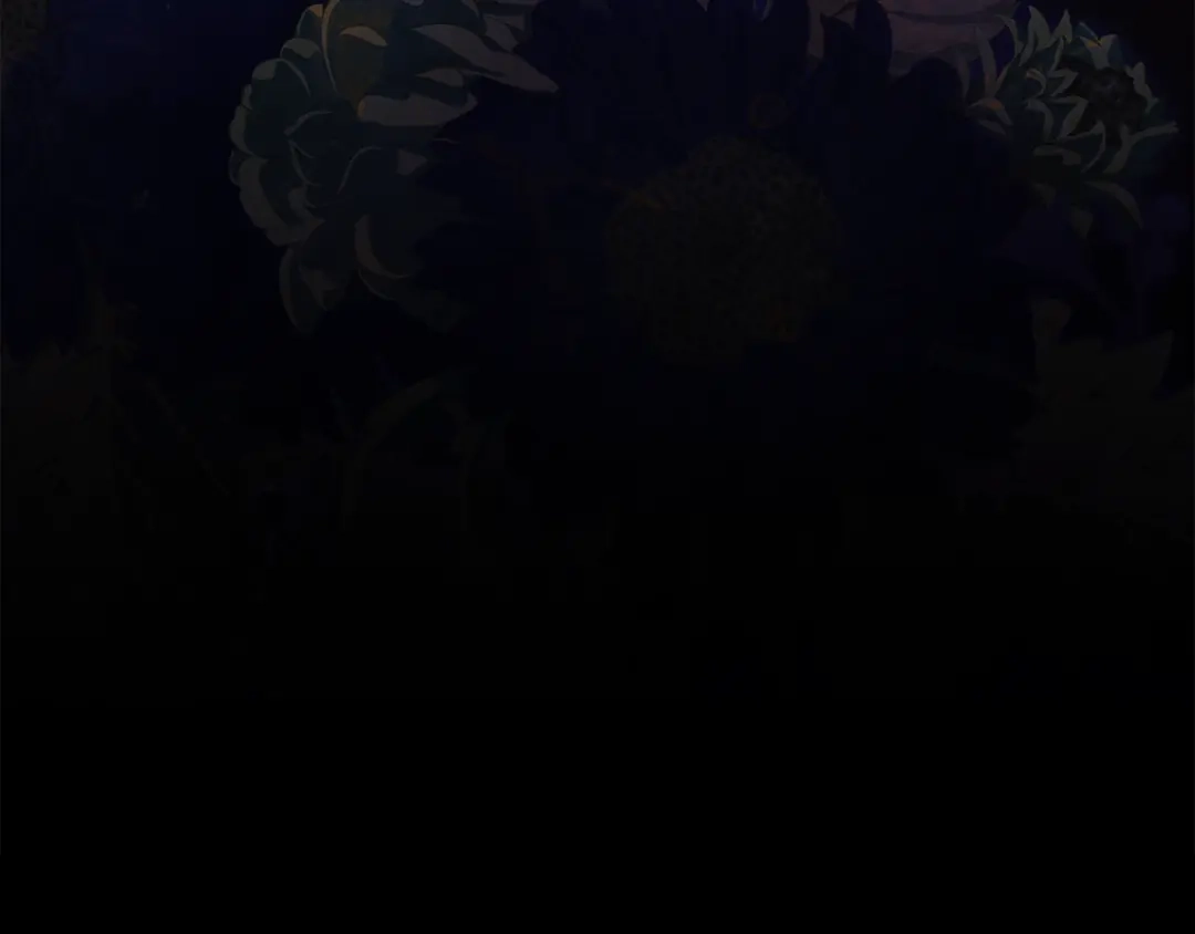 第233页