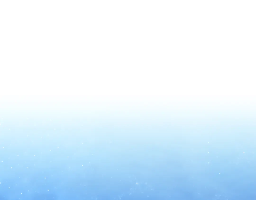 第223页