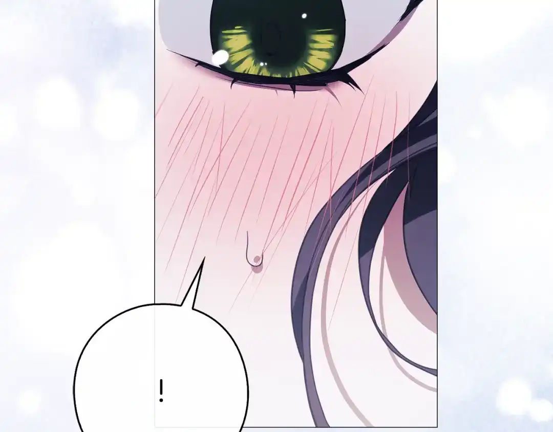 第246页
