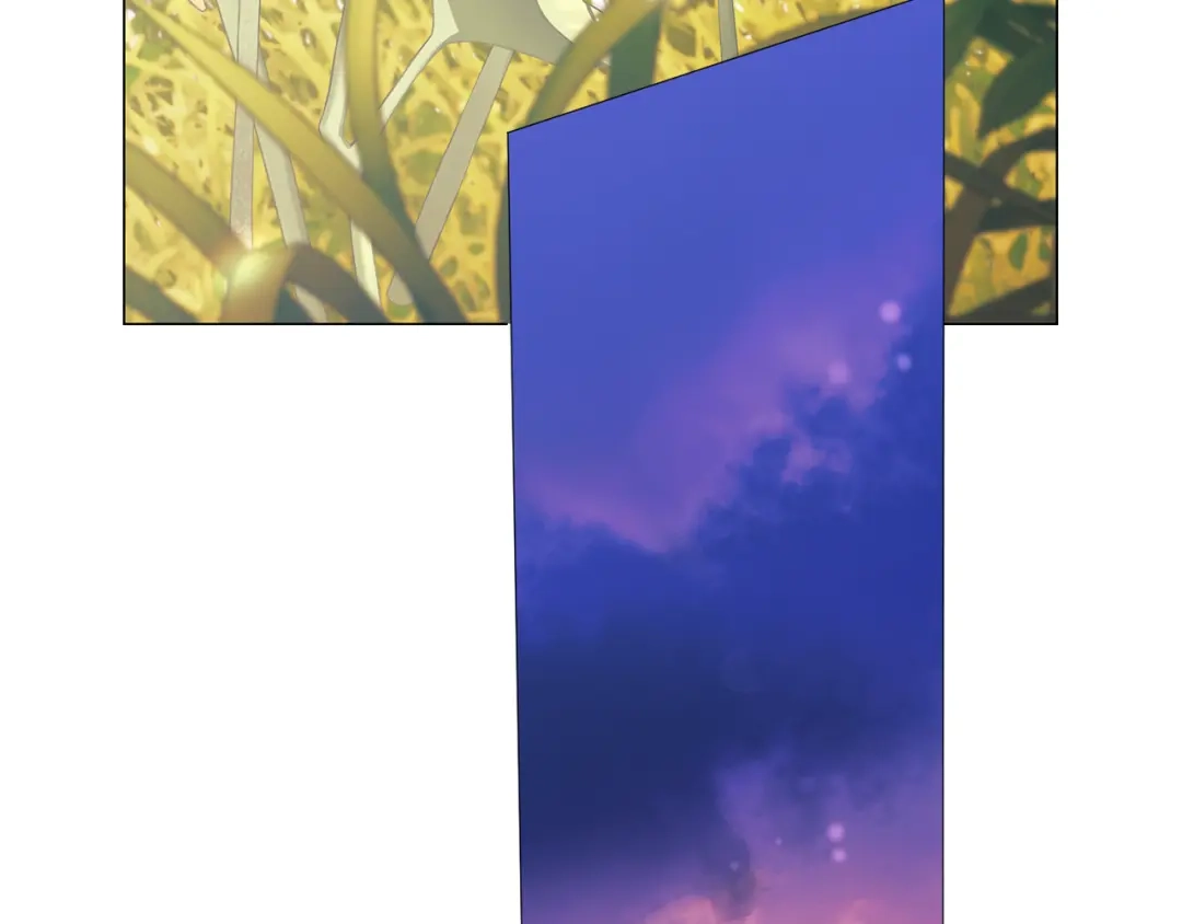 第211页