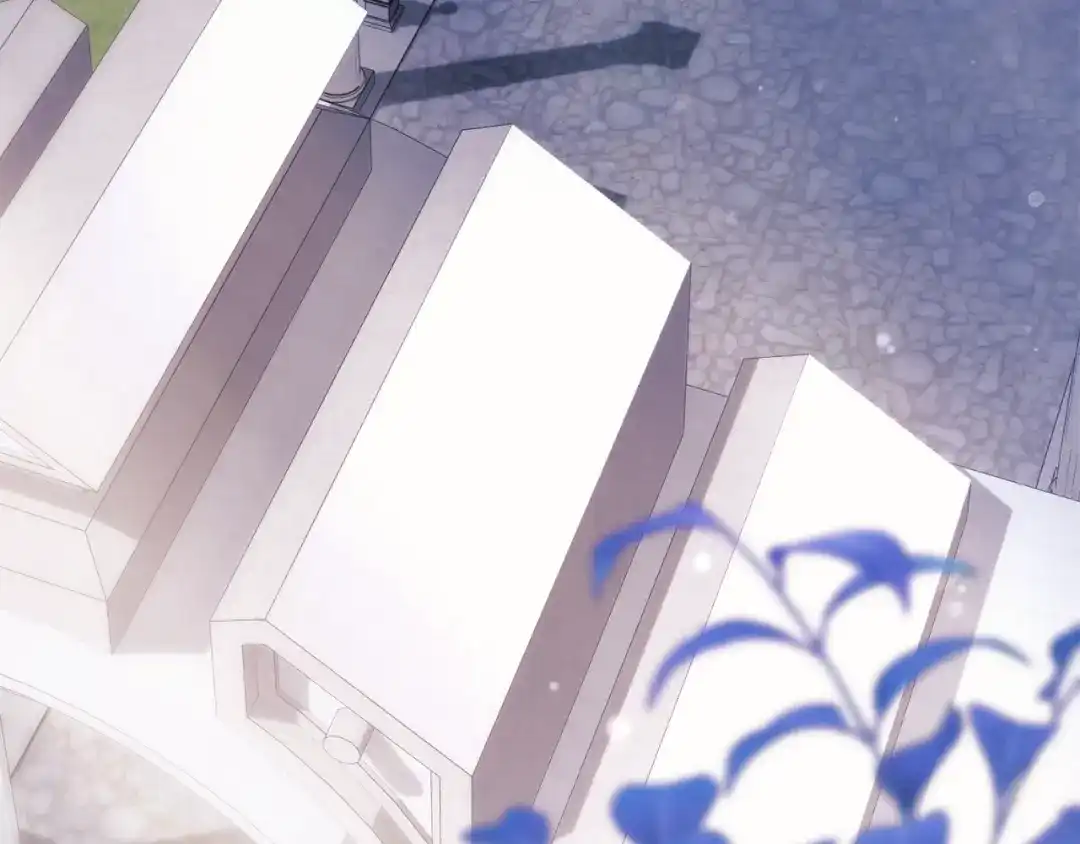 第215页