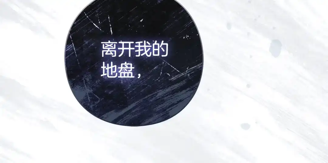 第215页