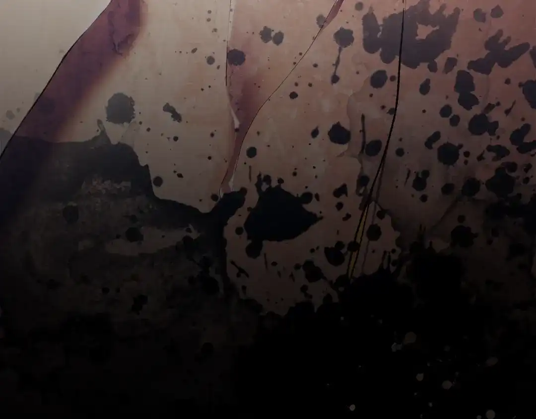 第871页