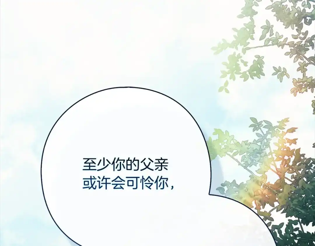 第428页