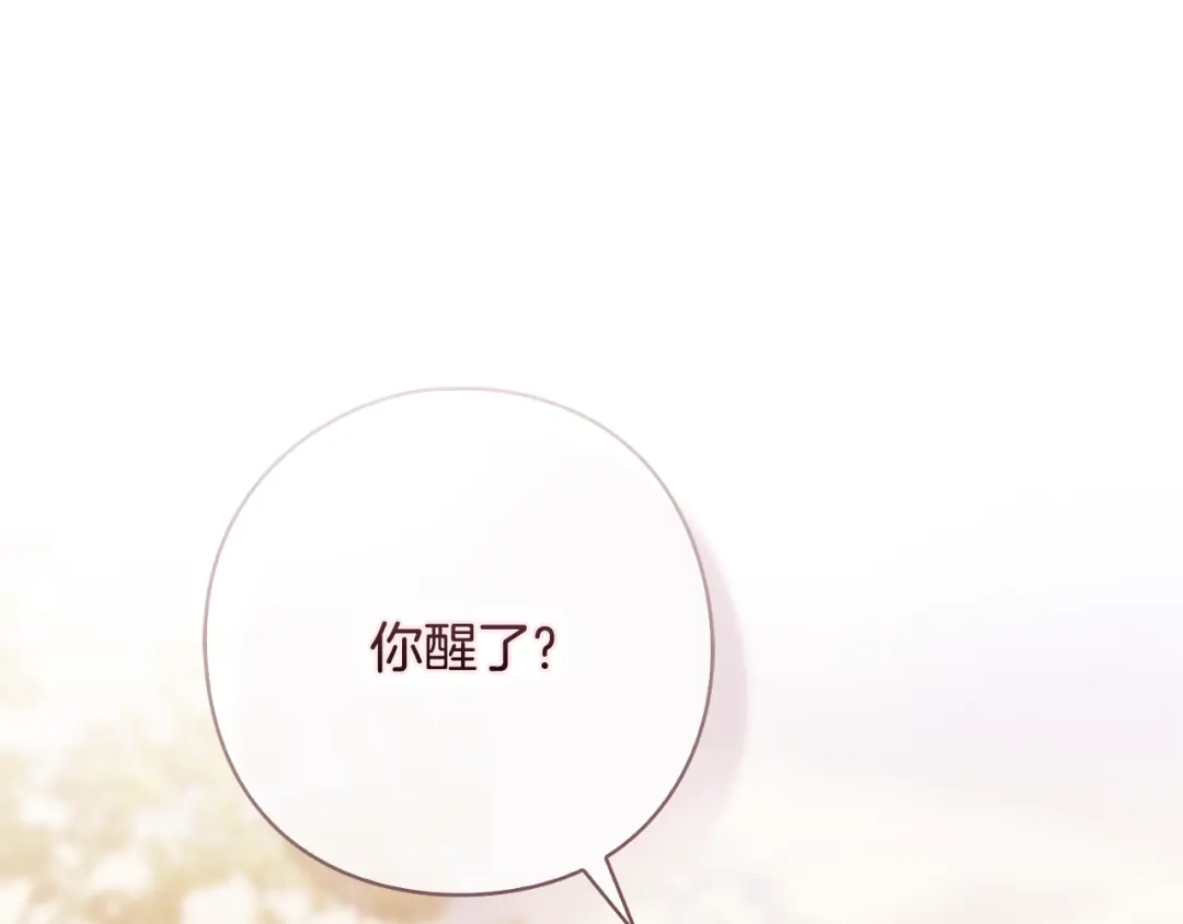 第620页