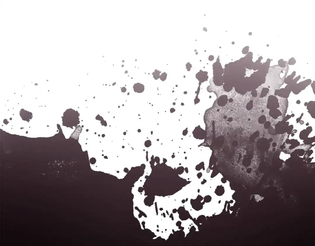 第205页