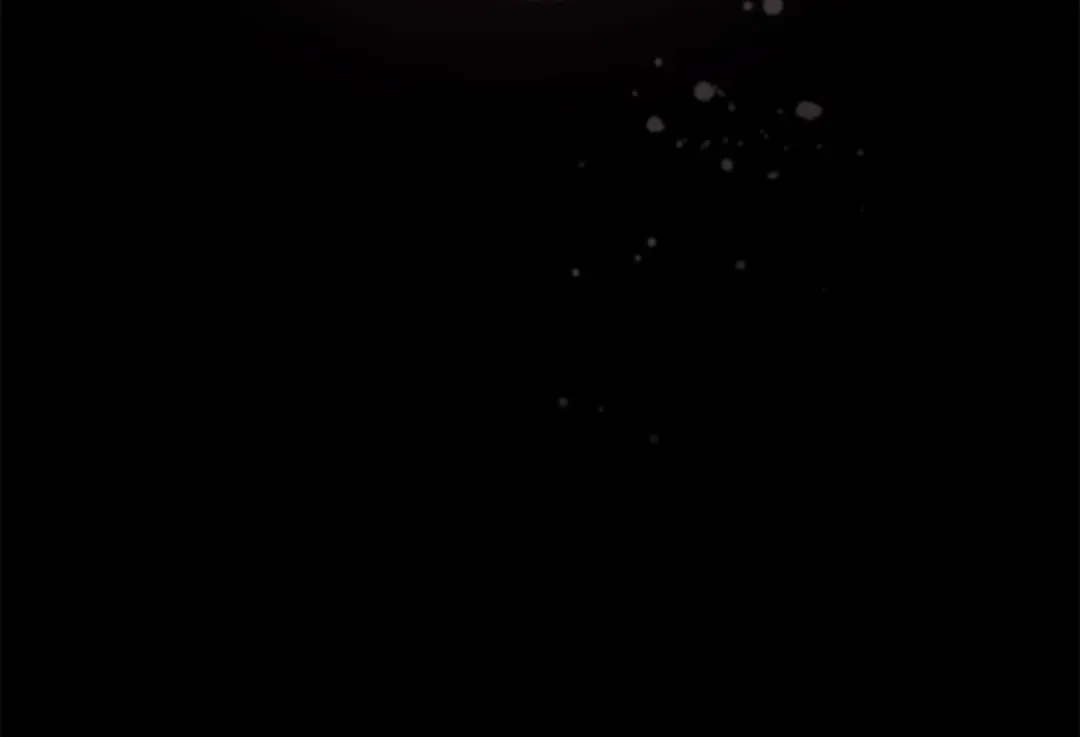 第207页