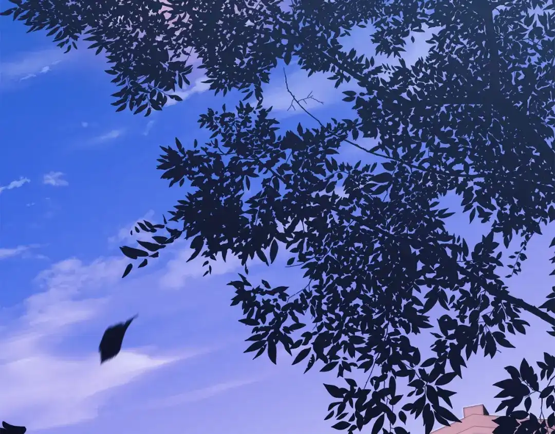 第247页