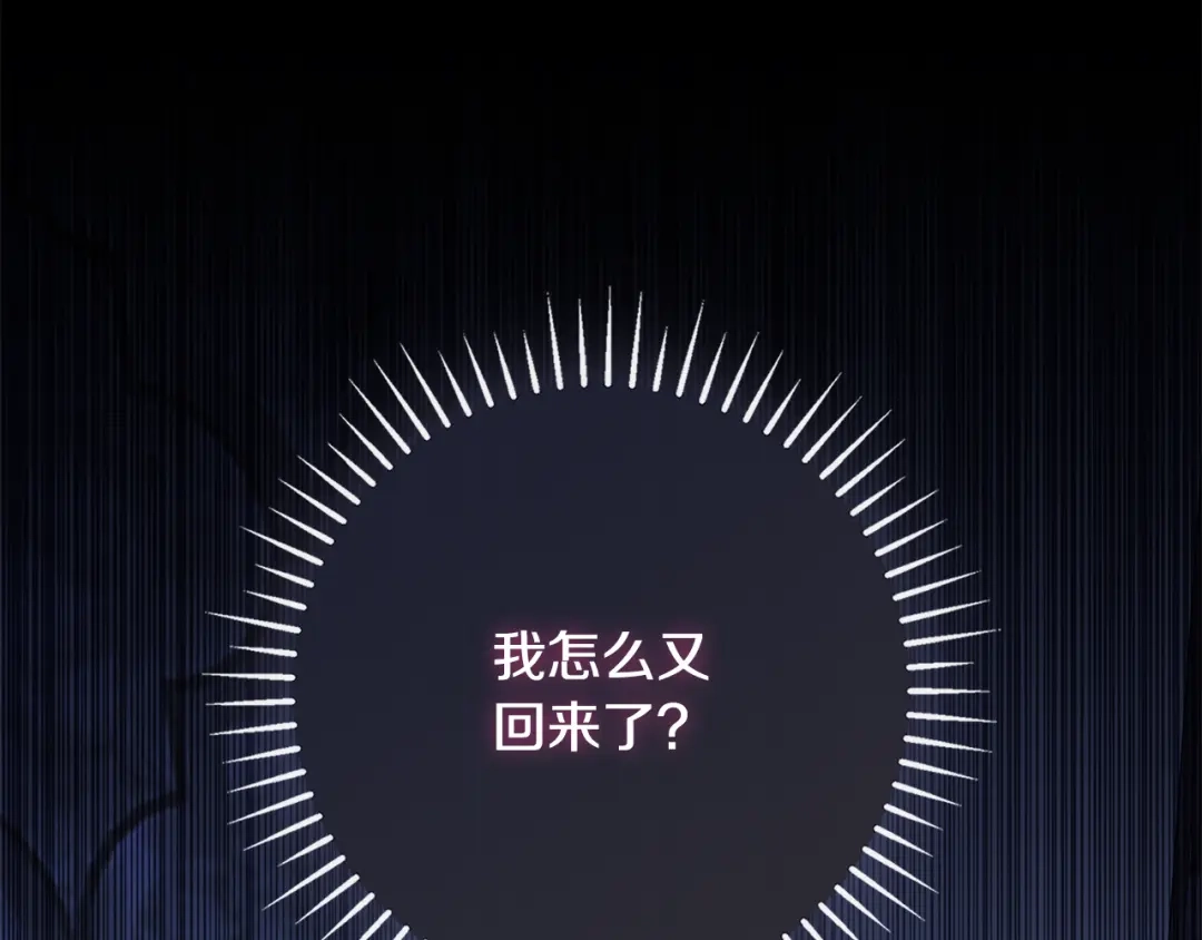 第278页