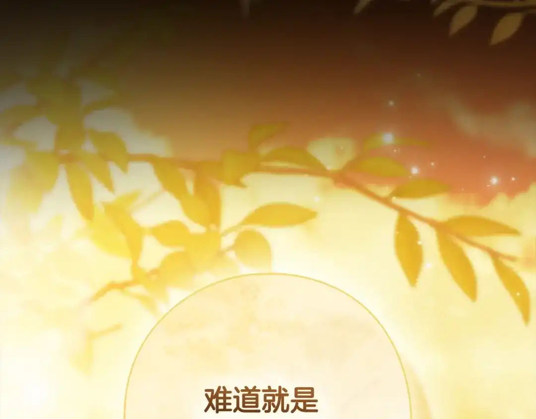 为了达芙萘 第32话 我不想治愈自己 第362页