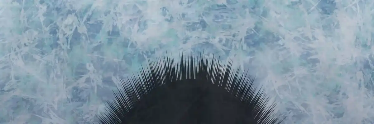 第184页