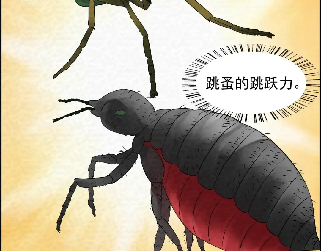 第161页