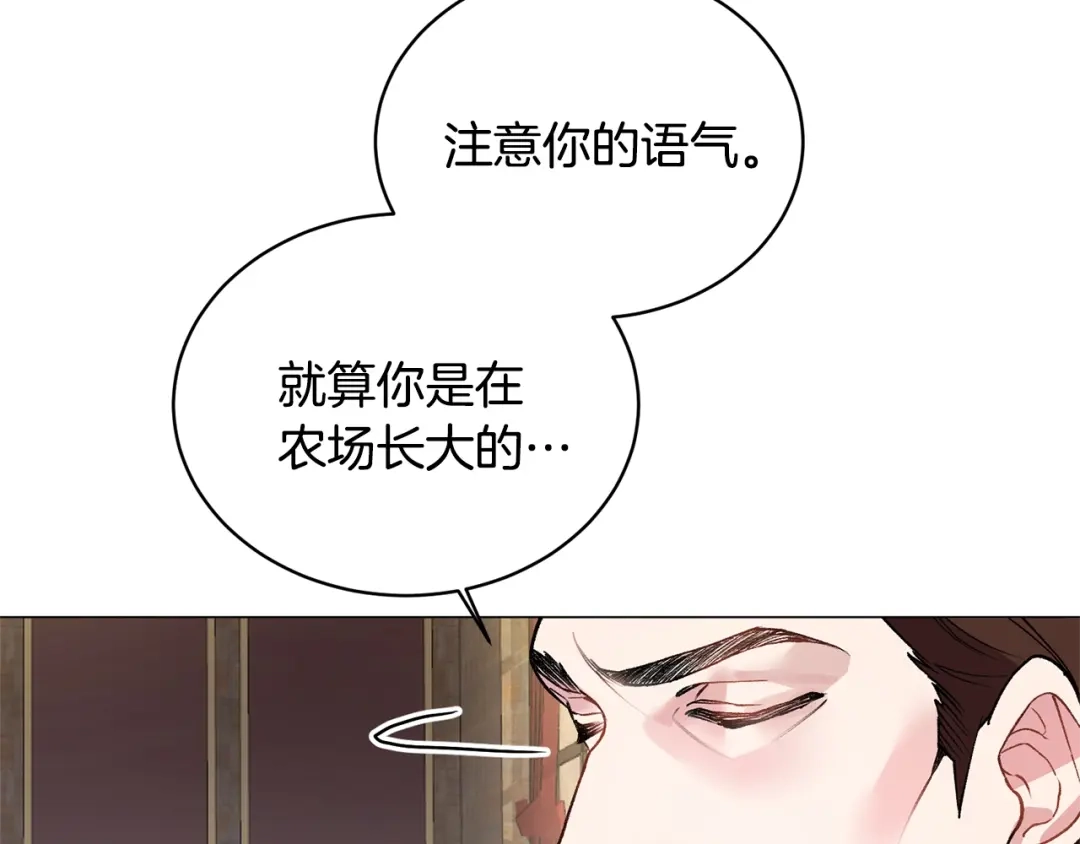第251页