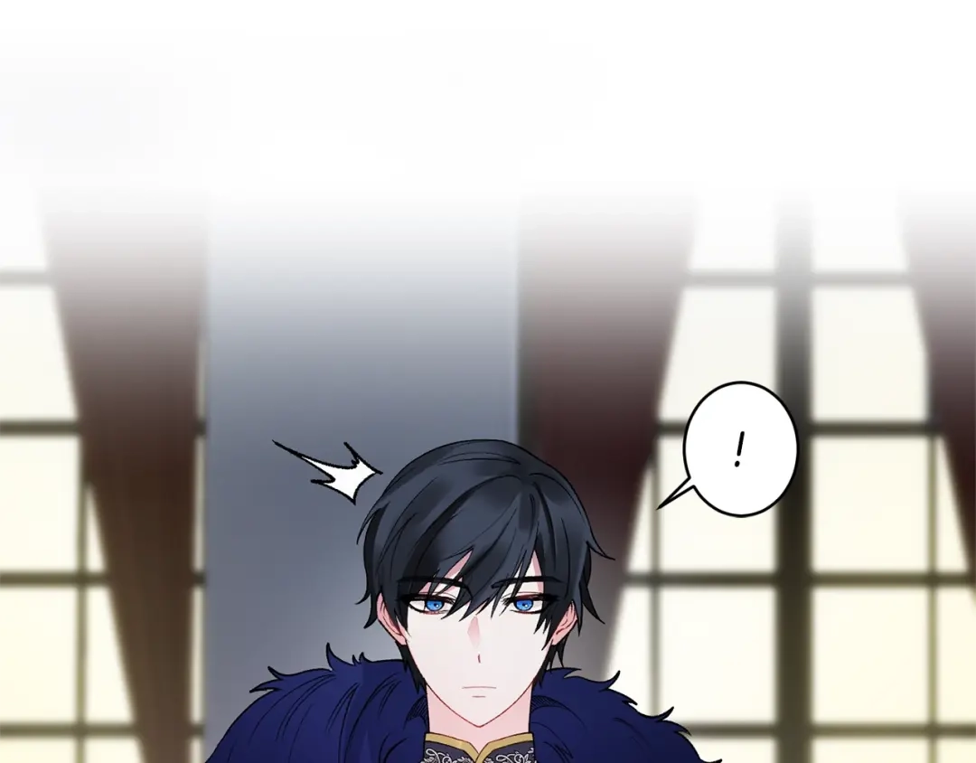 第216页