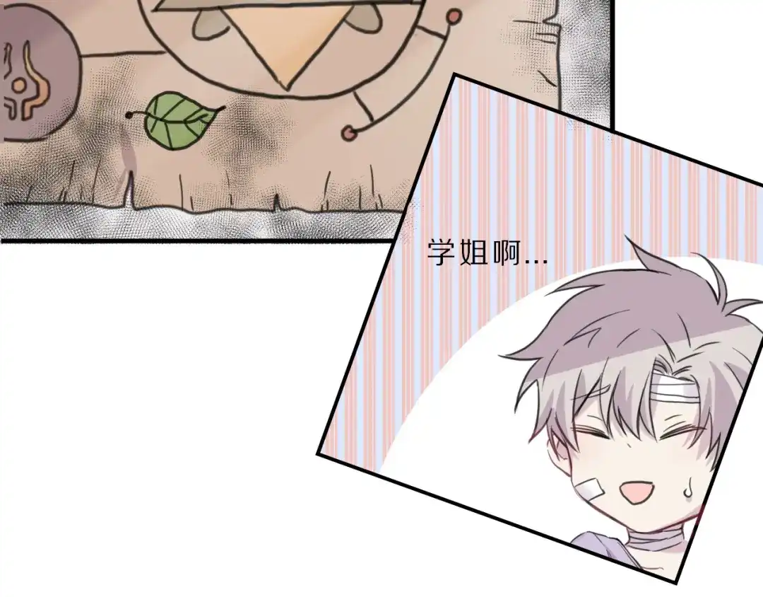 第55页