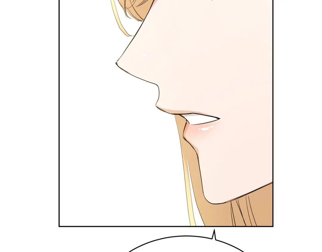 第223页