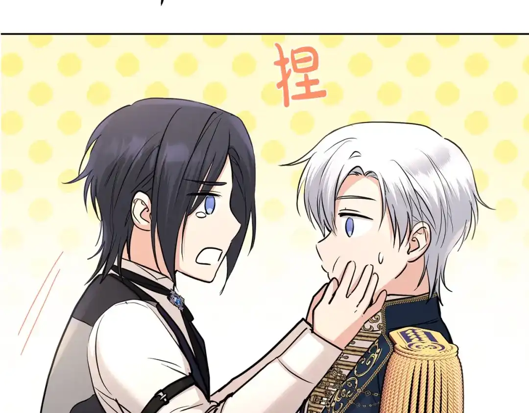 第221页