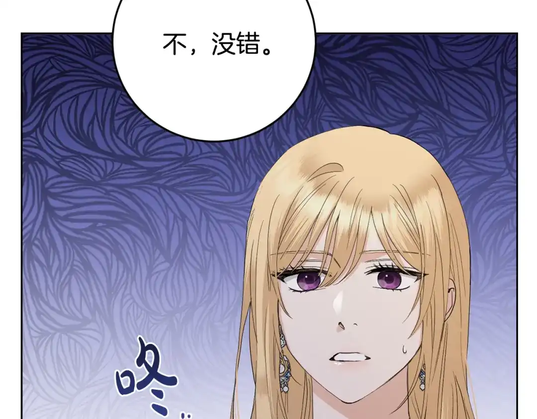第204页