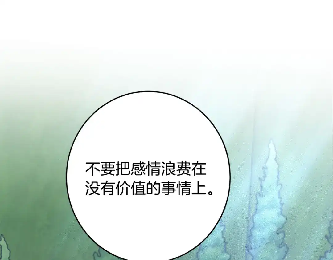 第215页
