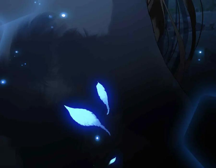 第219页