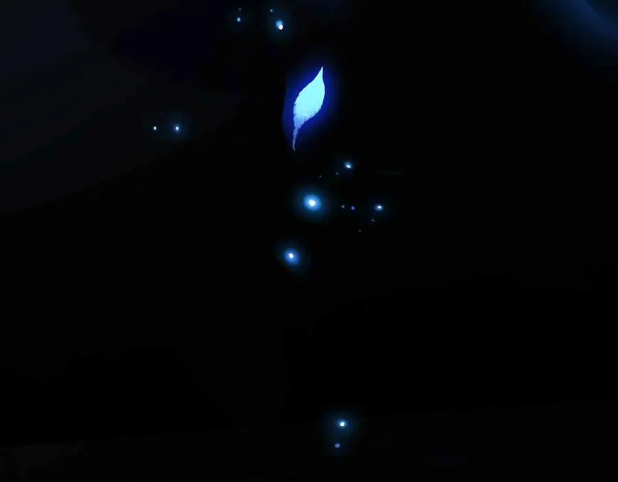 第221页
