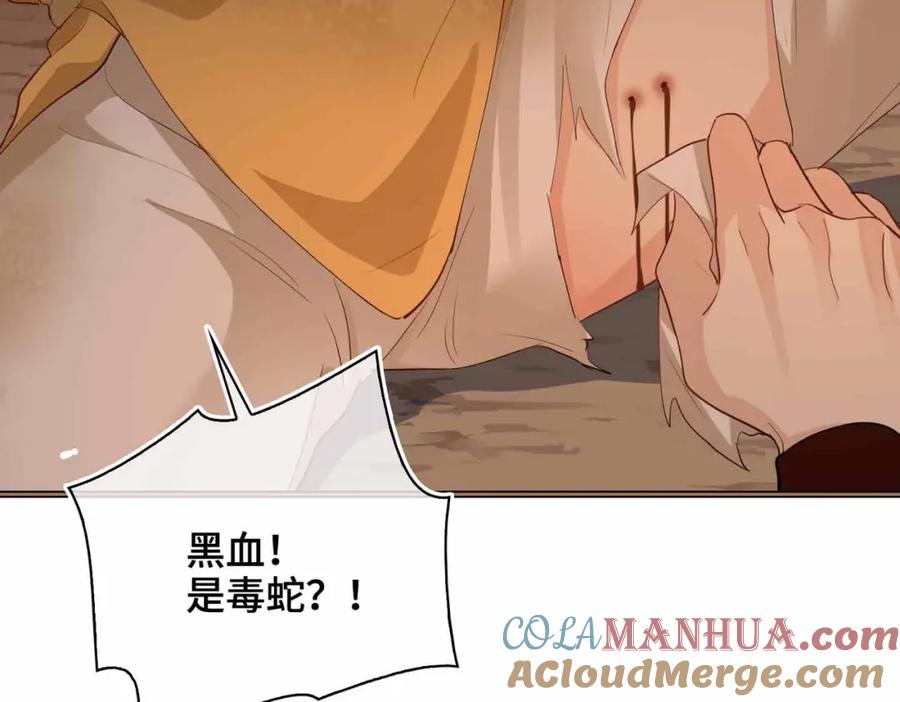 第185页