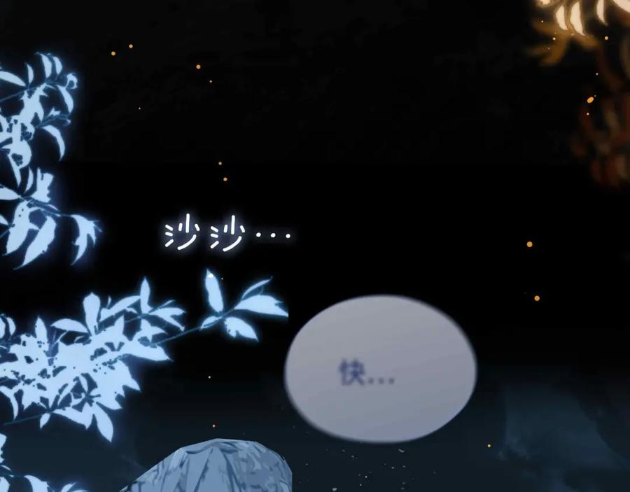 第223页