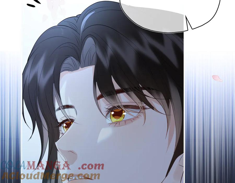 第241页