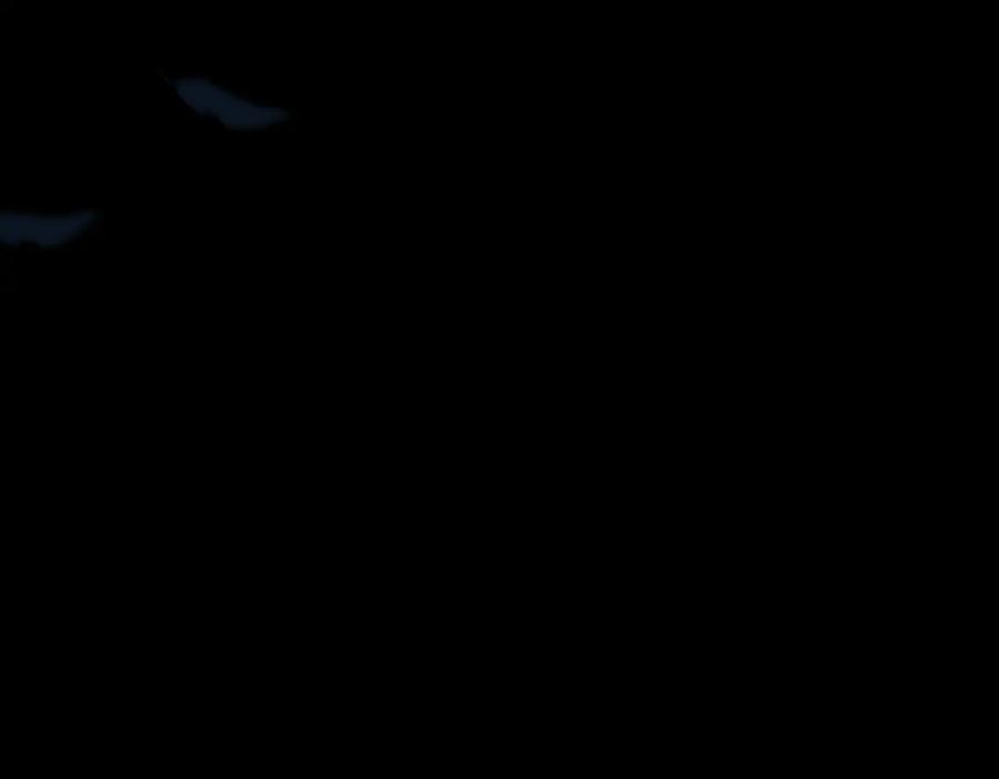 第271页