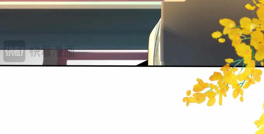 第243页