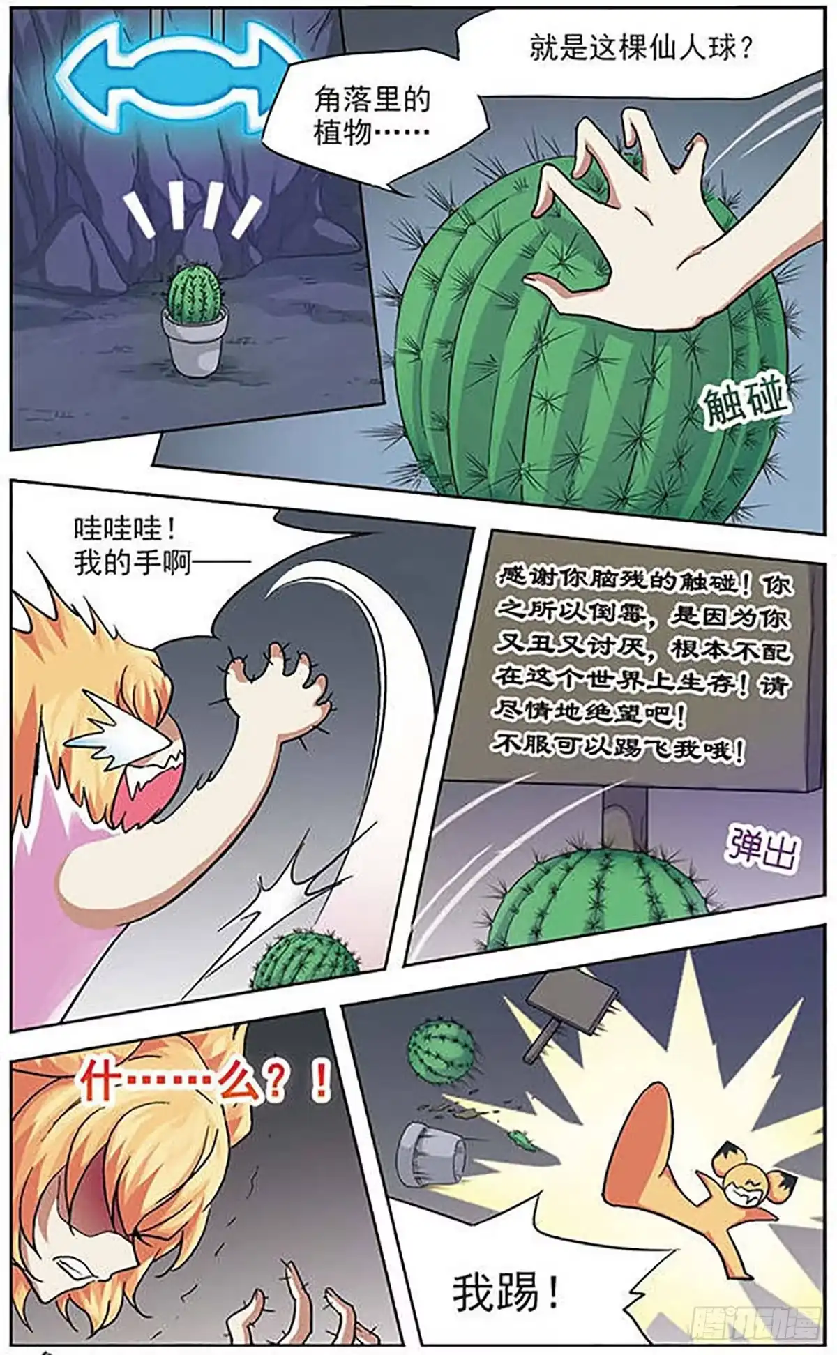第5页
