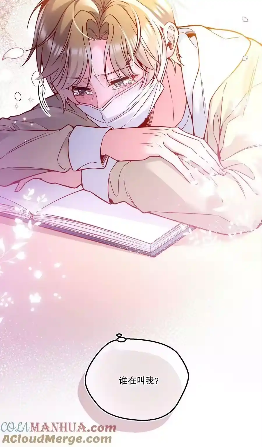 第43页