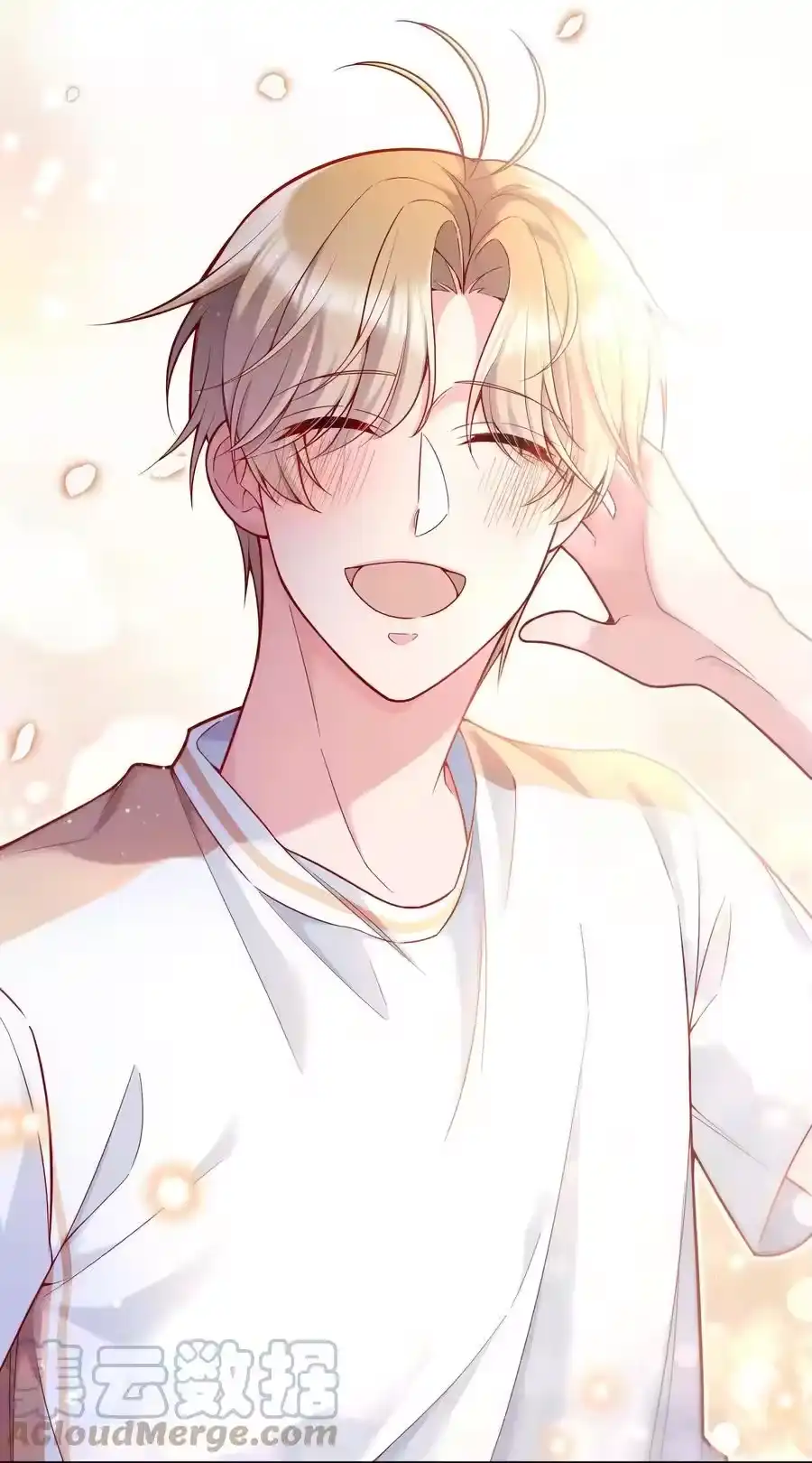 第43页