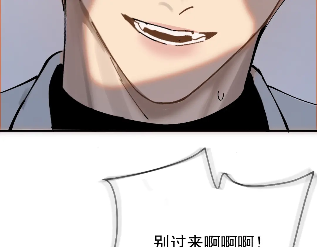 第206页