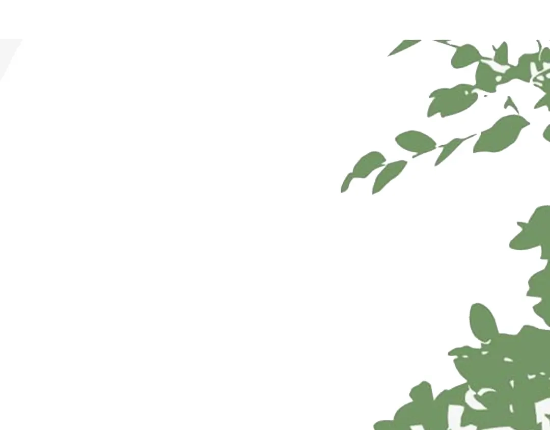 刺杀掌门一万次 第十二话 他的世界 第127页