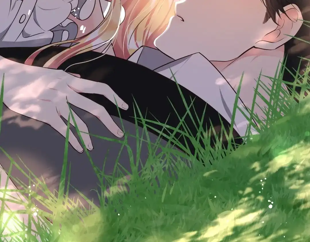 第213页