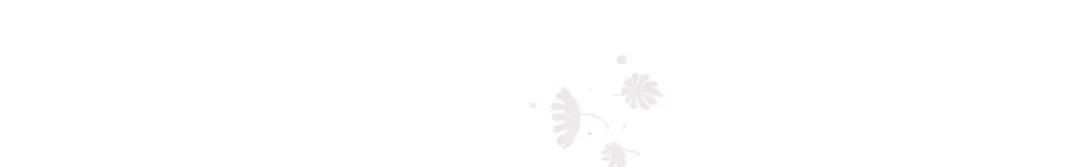 第221页