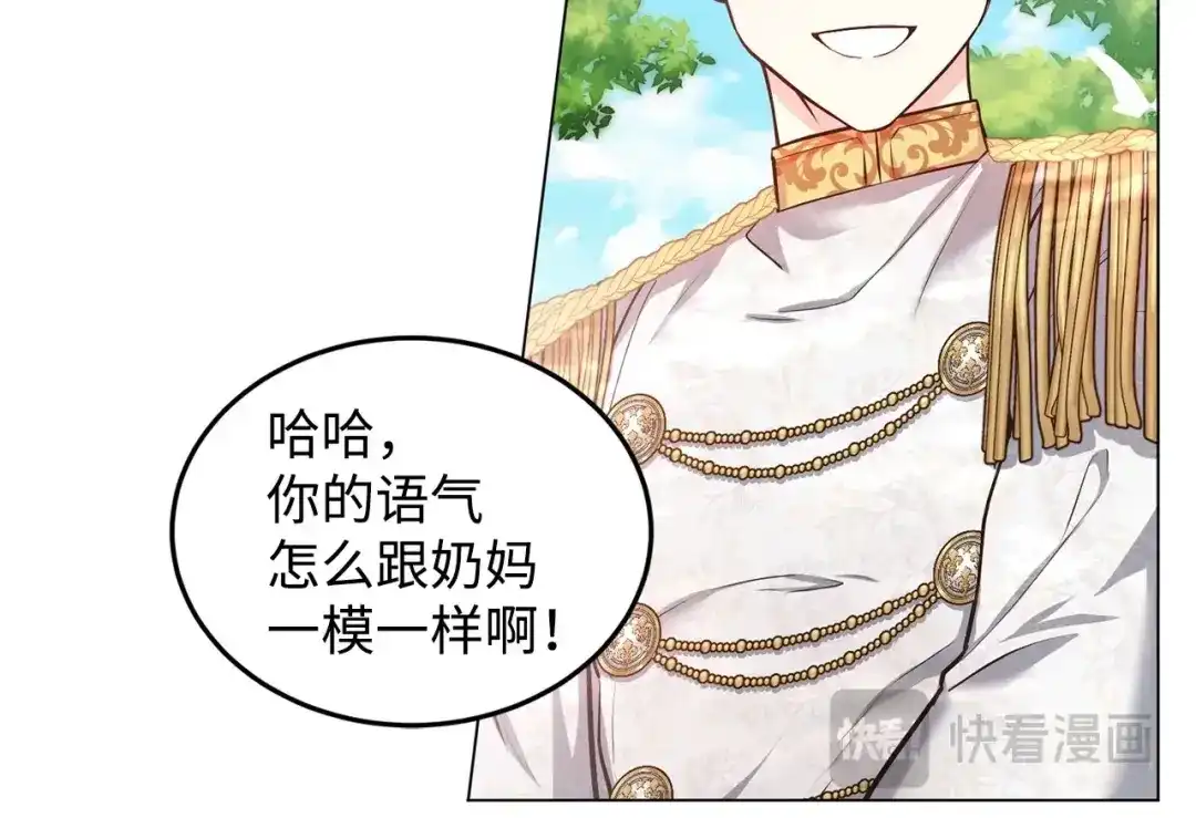 第255页