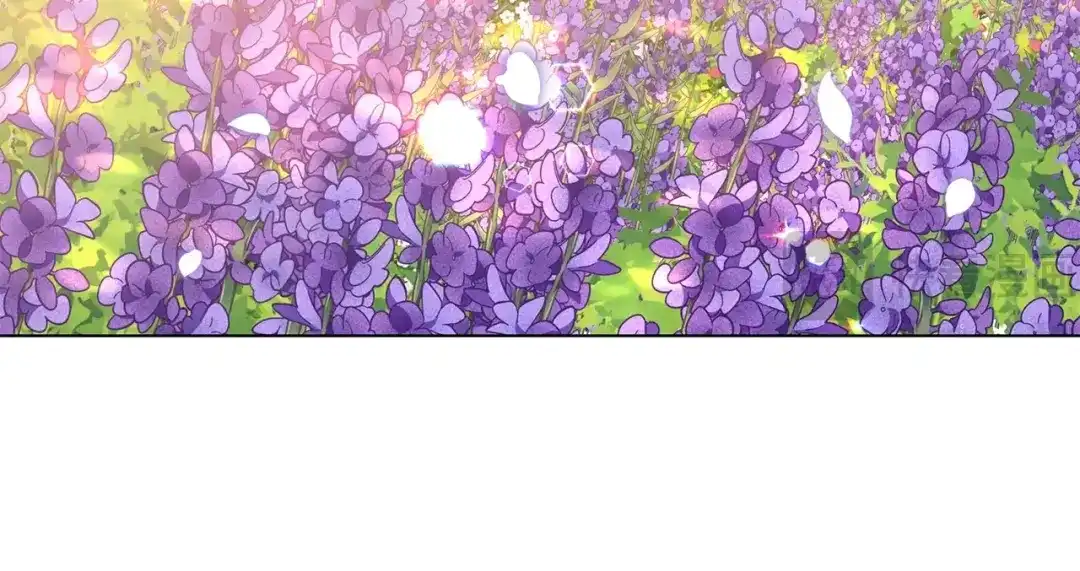 第229页