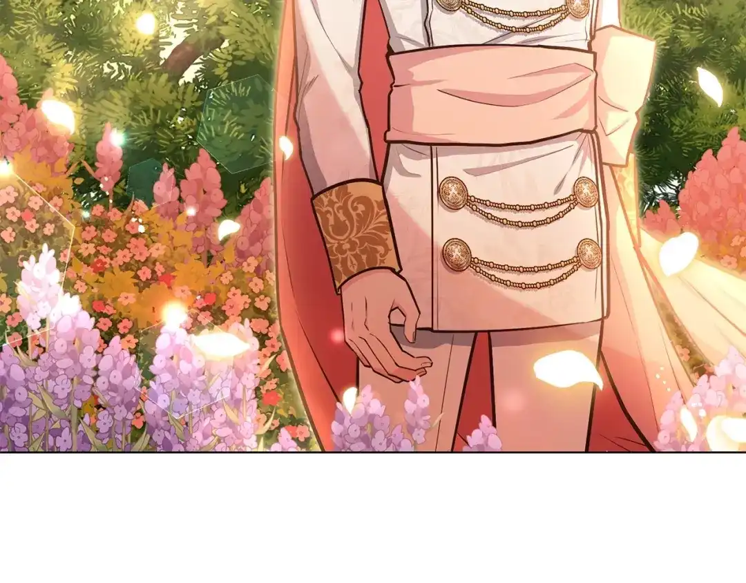 第251页