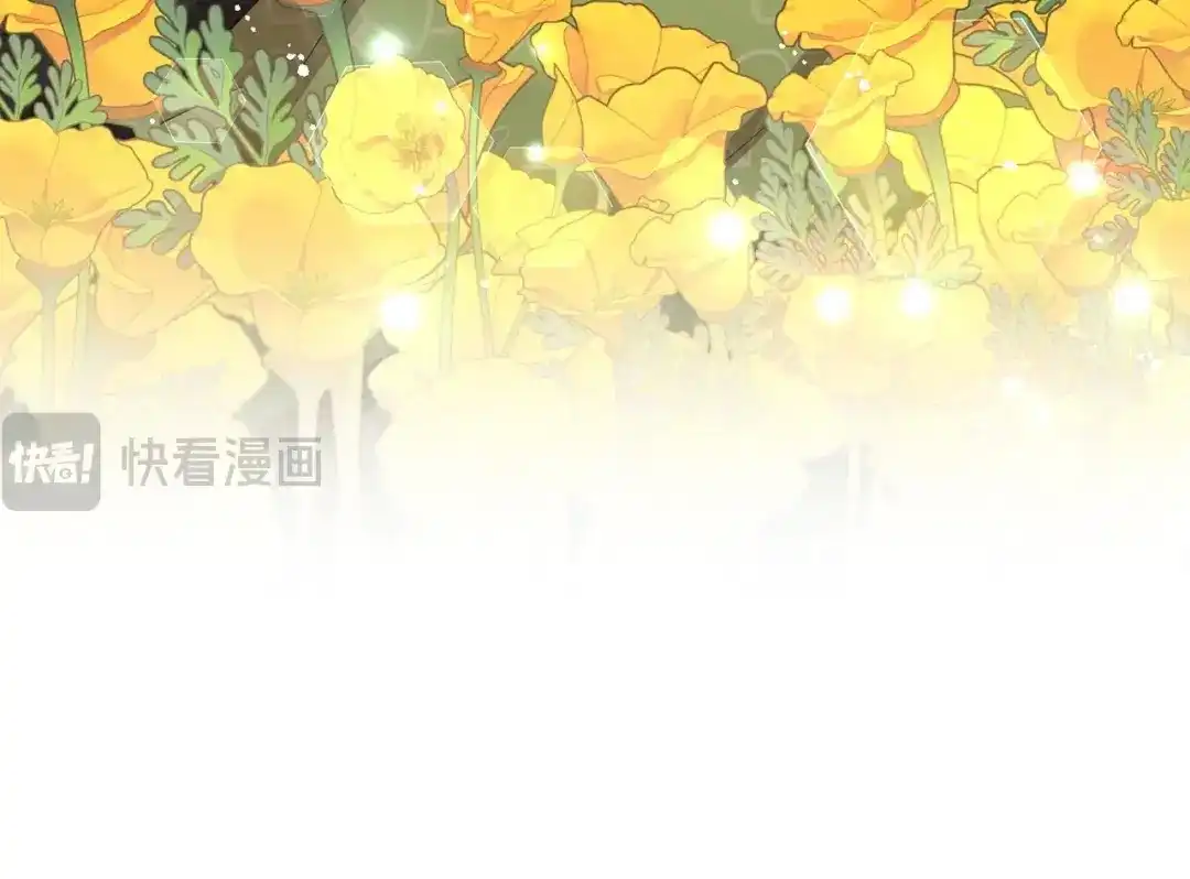 第247页